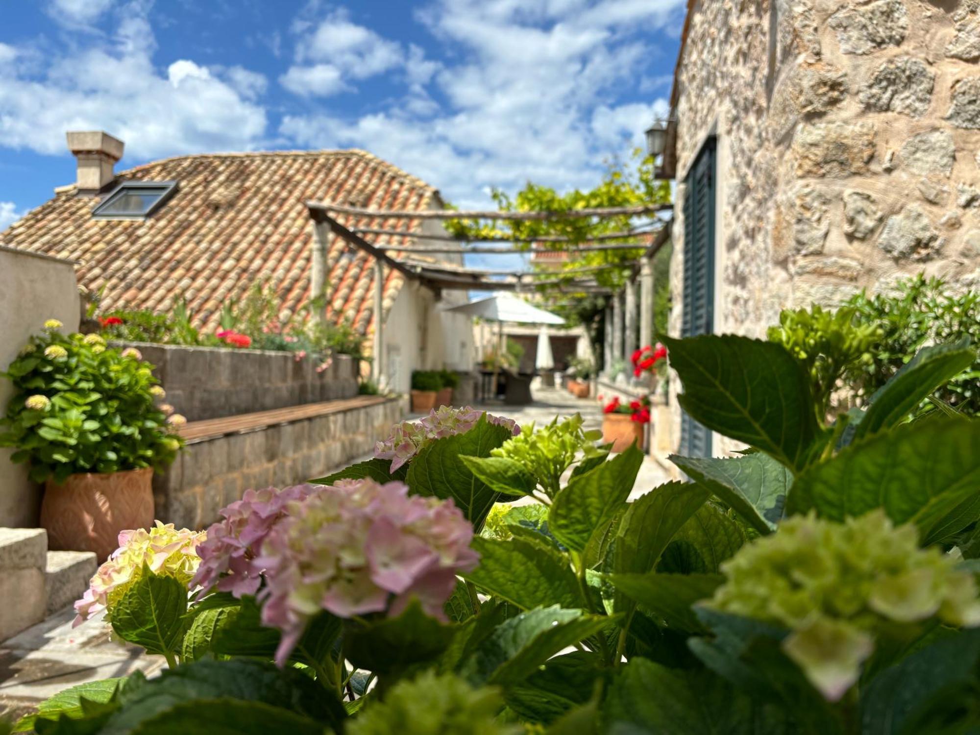 Villa Anica Dubrovnik - Luxurious With A Sea View Dış mekan fotoğraf