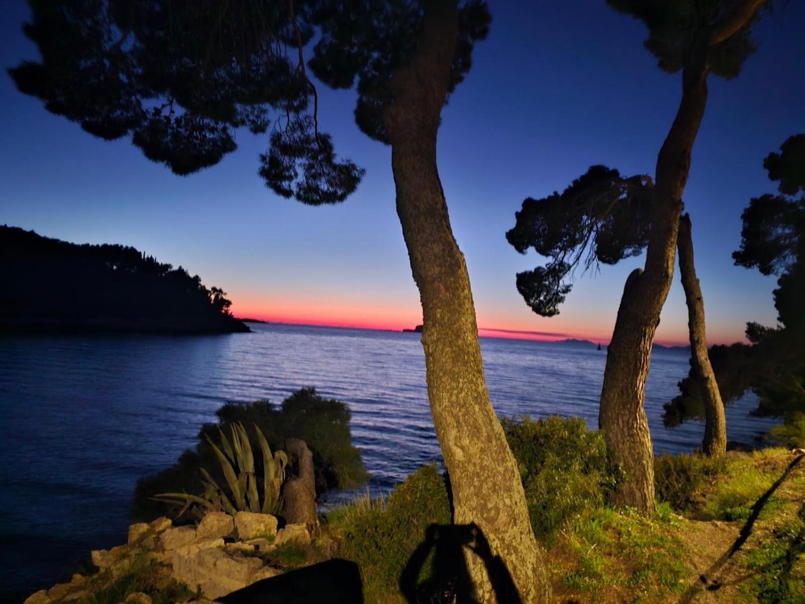 Villa Anica Dubrovnik - Luxurious With A Sea View Dış mekan fotoğraf